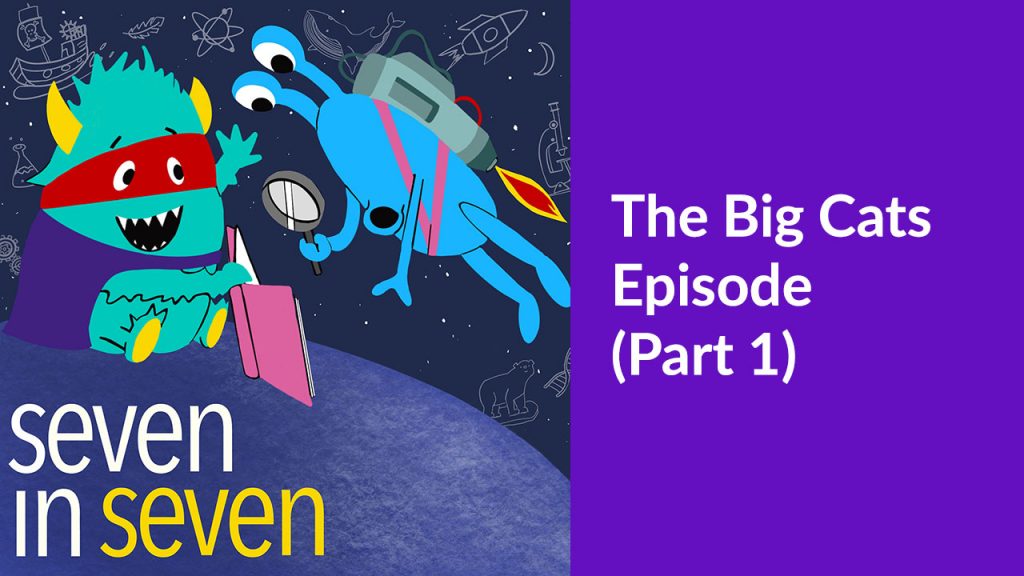The Big Cats Episode (Part 1)